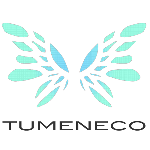 Re.TMNC TUMENECO tomoya yukina 東方 同人 CD Re.TMNC TUMENECO tomoya yukina 東方 同人 CD